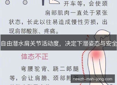 自由潜水肩关节活动度,决定下潜姿态与安全 自由潜水肩关节活动度,决定下潜姿态与安全